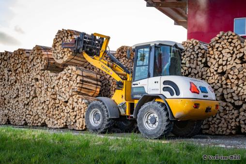 Holz