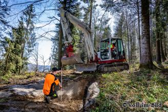 Forst