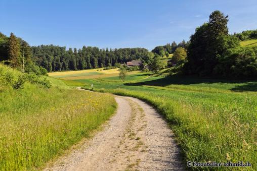Naturpfad Schulthess