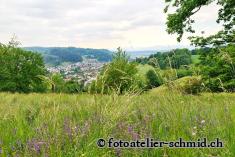 Erinnerungswald Ausblick auf Gränichen